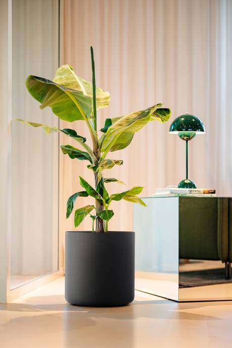 pure cilinder wheels 40 black